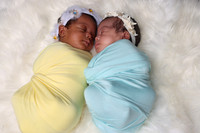 Taneshia's Twins